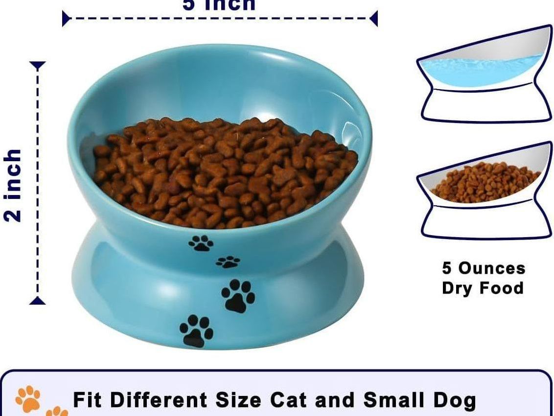 Ceramic Cat Food Bowl