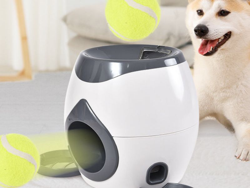 Smart Pet Feeder Tennis Ball Missing Device Throwing Reward Machine