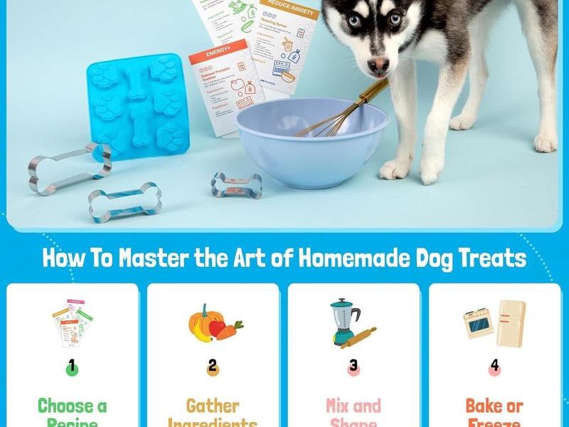 Homemade Dog Treat Kit - DIY Dog Treat Baking Kit W/Molds, Cutters, Recipes & Gift Bags - Bake Fresh, Healthy Organic Training Treats for Dogs at Home