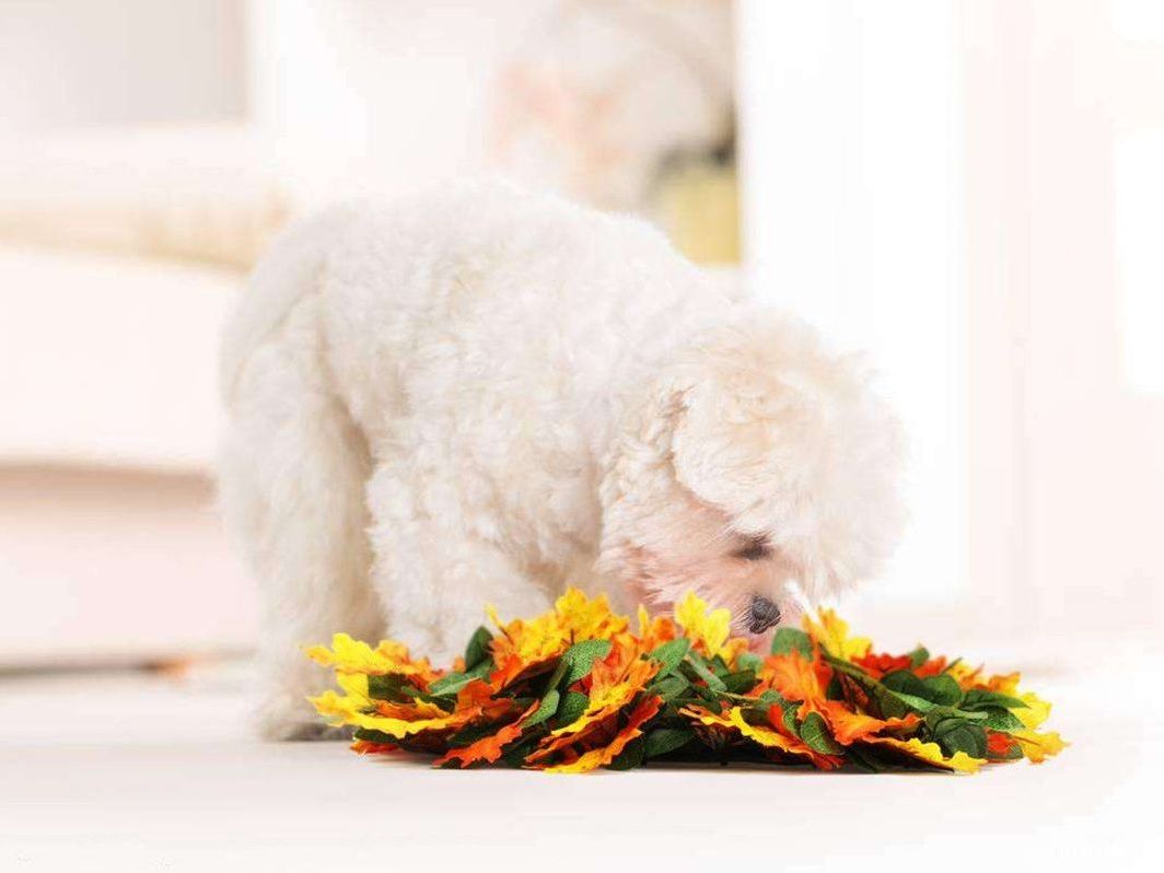 Pet Jungle Feeding Mat Washable Pet Sniffing Blanket