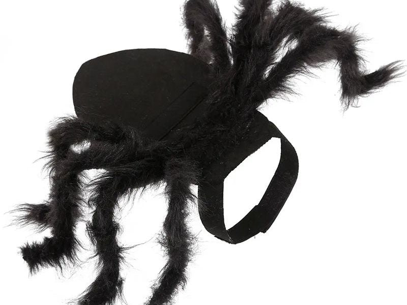 Cat Halloween Costume Cat Bat Wings - Pet Bat Costume Dress Costume Outfit Wing for Small Dogs Cats 2025 Newest Pet Halloween