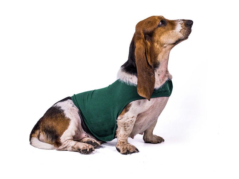 Pet Dog Anxiety Comfort Clothing
