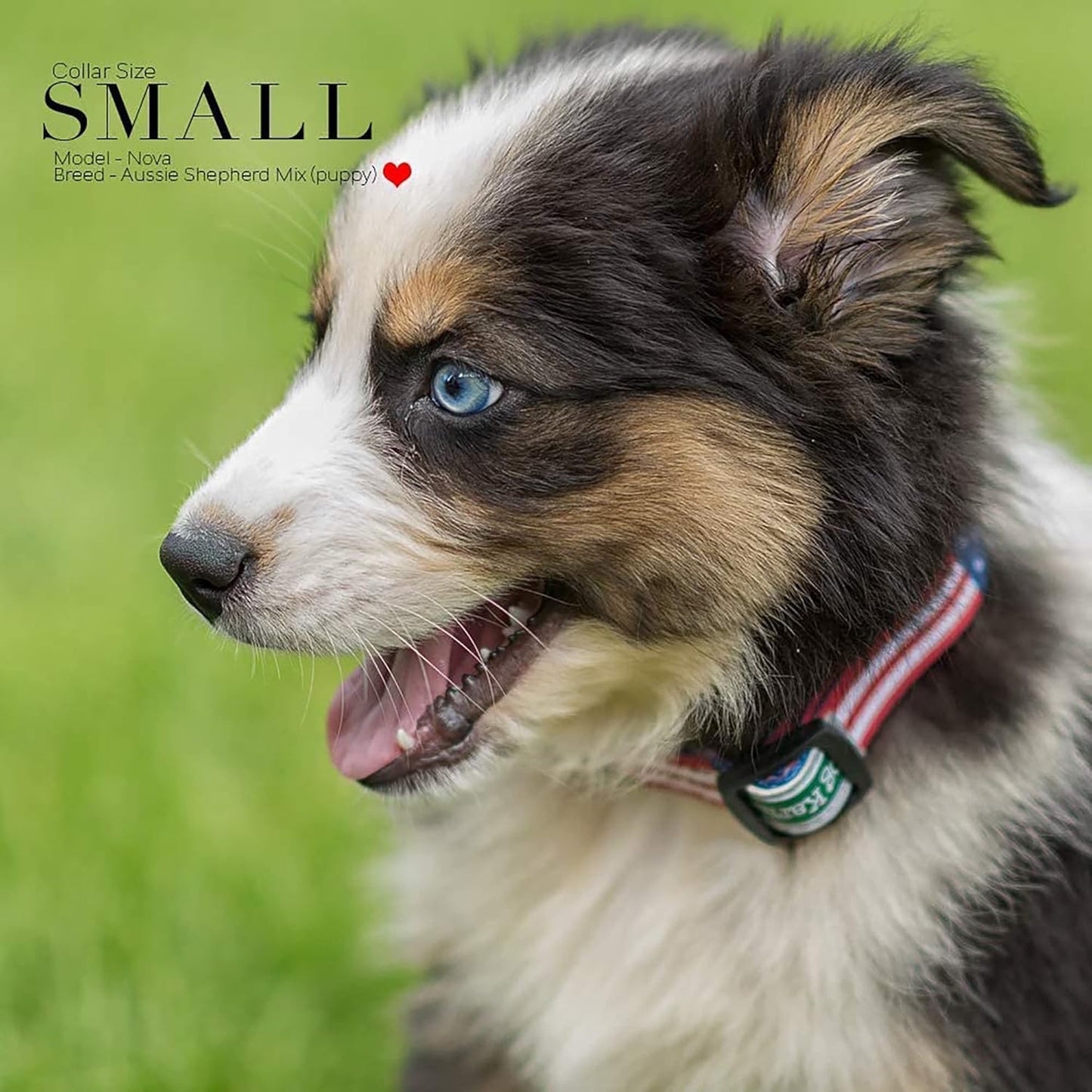 Show Your Patriotism with the American Flag Dog Collar - Classic Style, 5 Adjustable Sizes Available