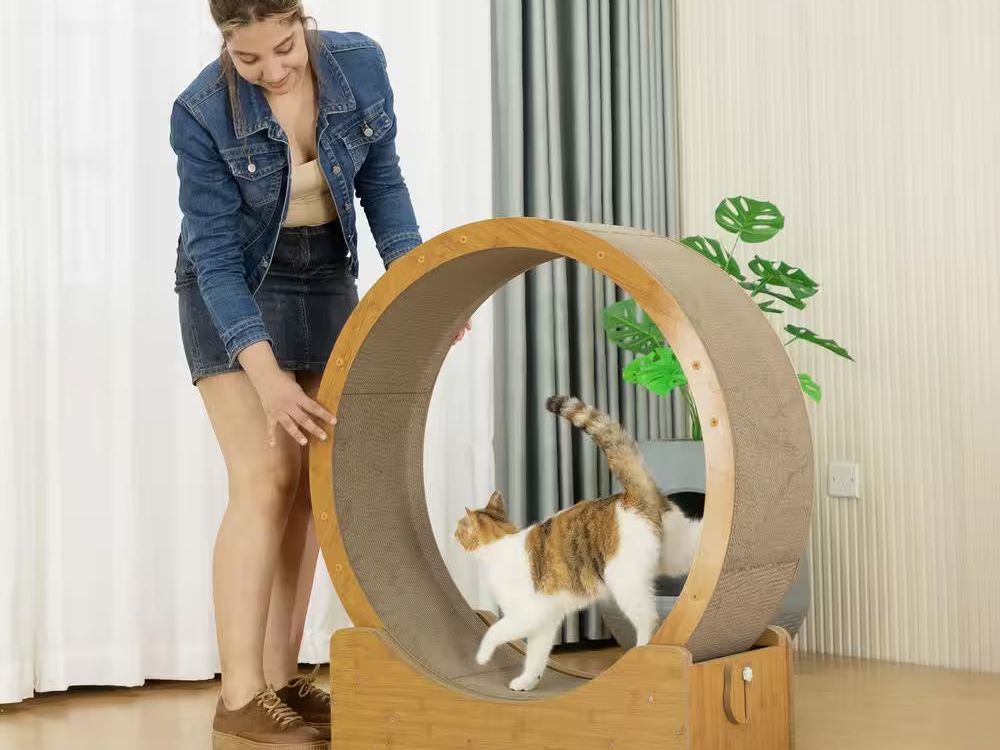 Cat Treadmill Exercise Wheel Corrugated Cat Scratcher, Large