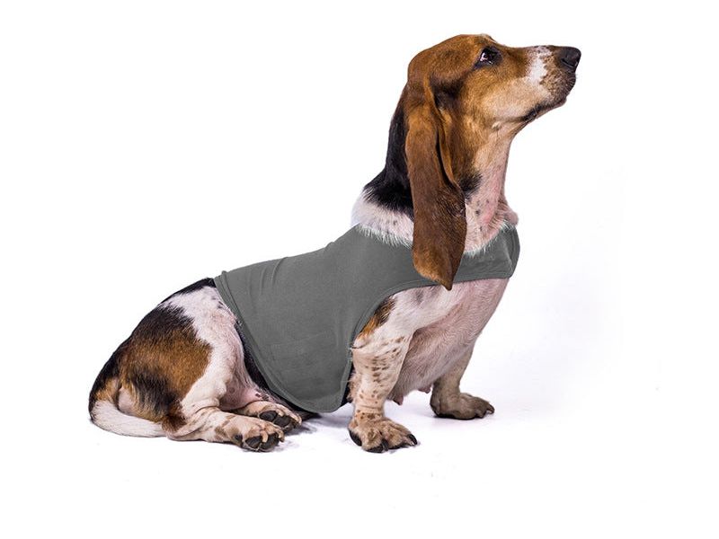 Pet Dog Anxiety Comfort Clothing