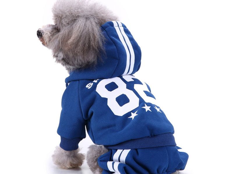 Four-Legged Pet Clothes Sportswear