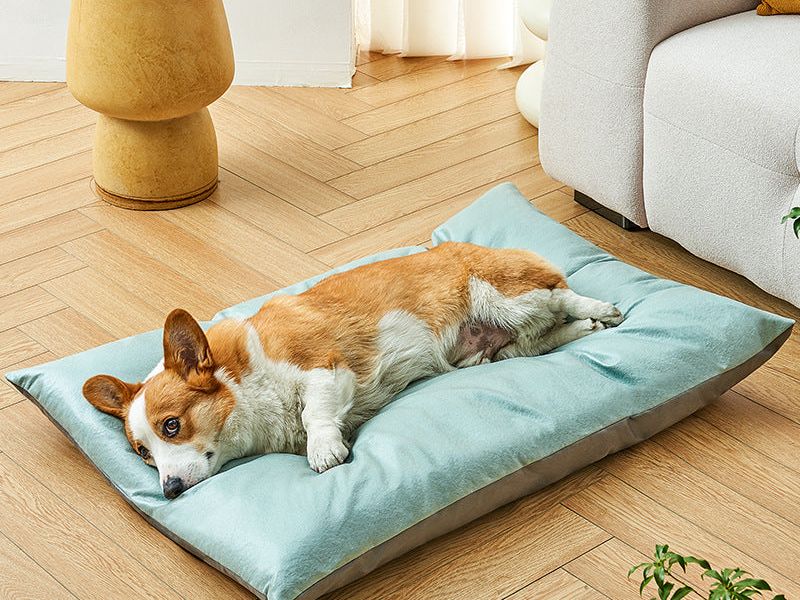 Pet Products Cool Summer Cat Nest Sleeping Mat Pet Bed, Dog Cushion Pet Nest