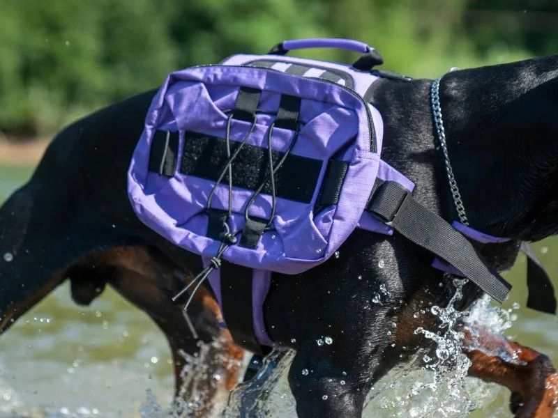 Ultimate Tactical Vest Harness for Large Dogs - Reflective, All-Season Comfort with Quick Release Closure