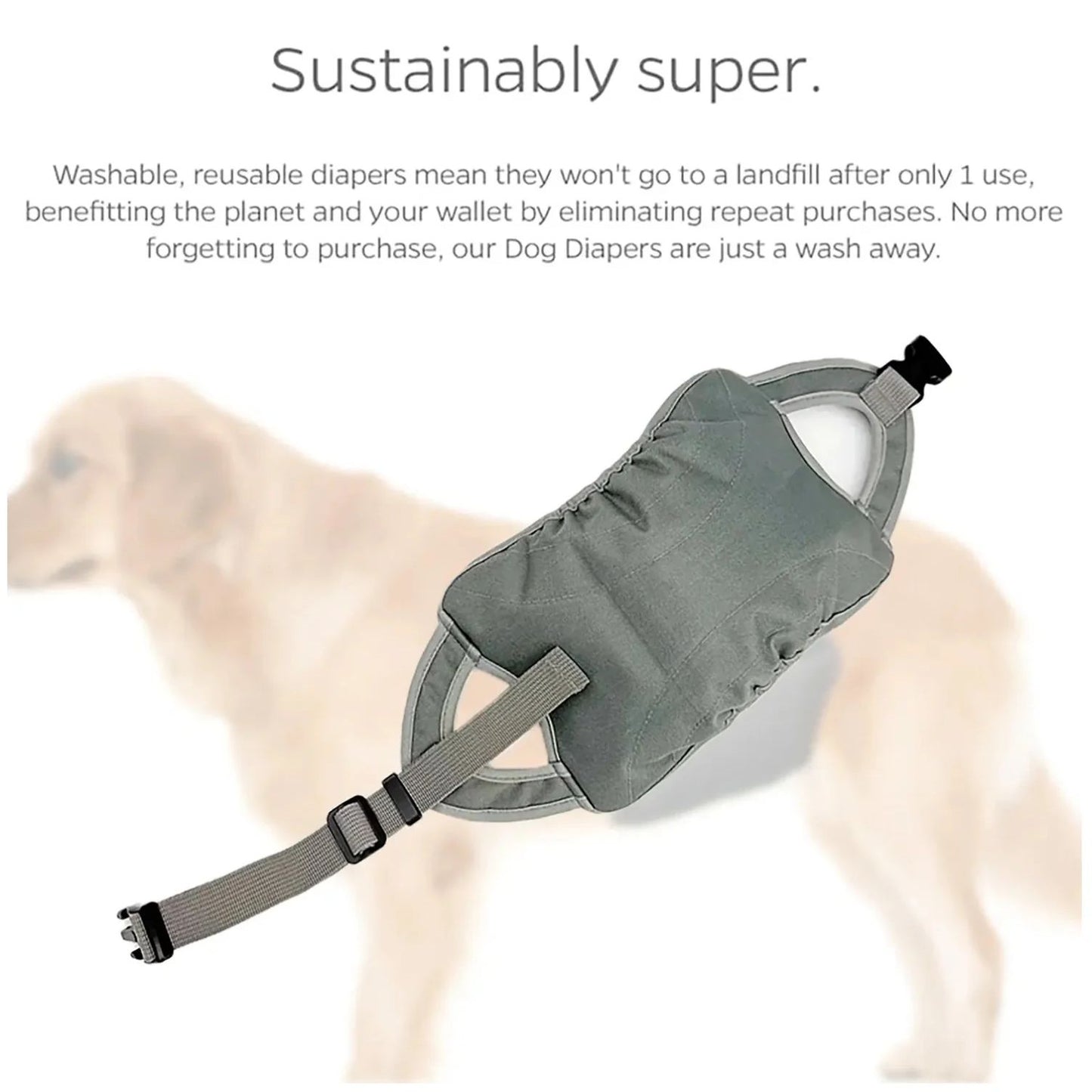 Comfort - First Dog Diaper: Prioritizing Your Pet'S Well - Being