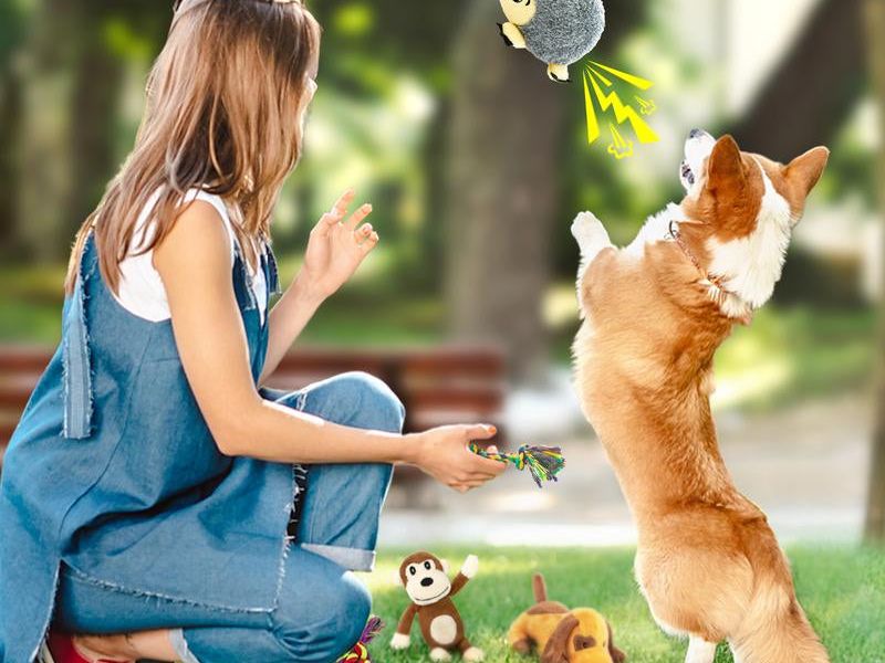 Squeaky Toys Bundle