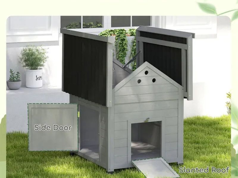Duck House Pet House