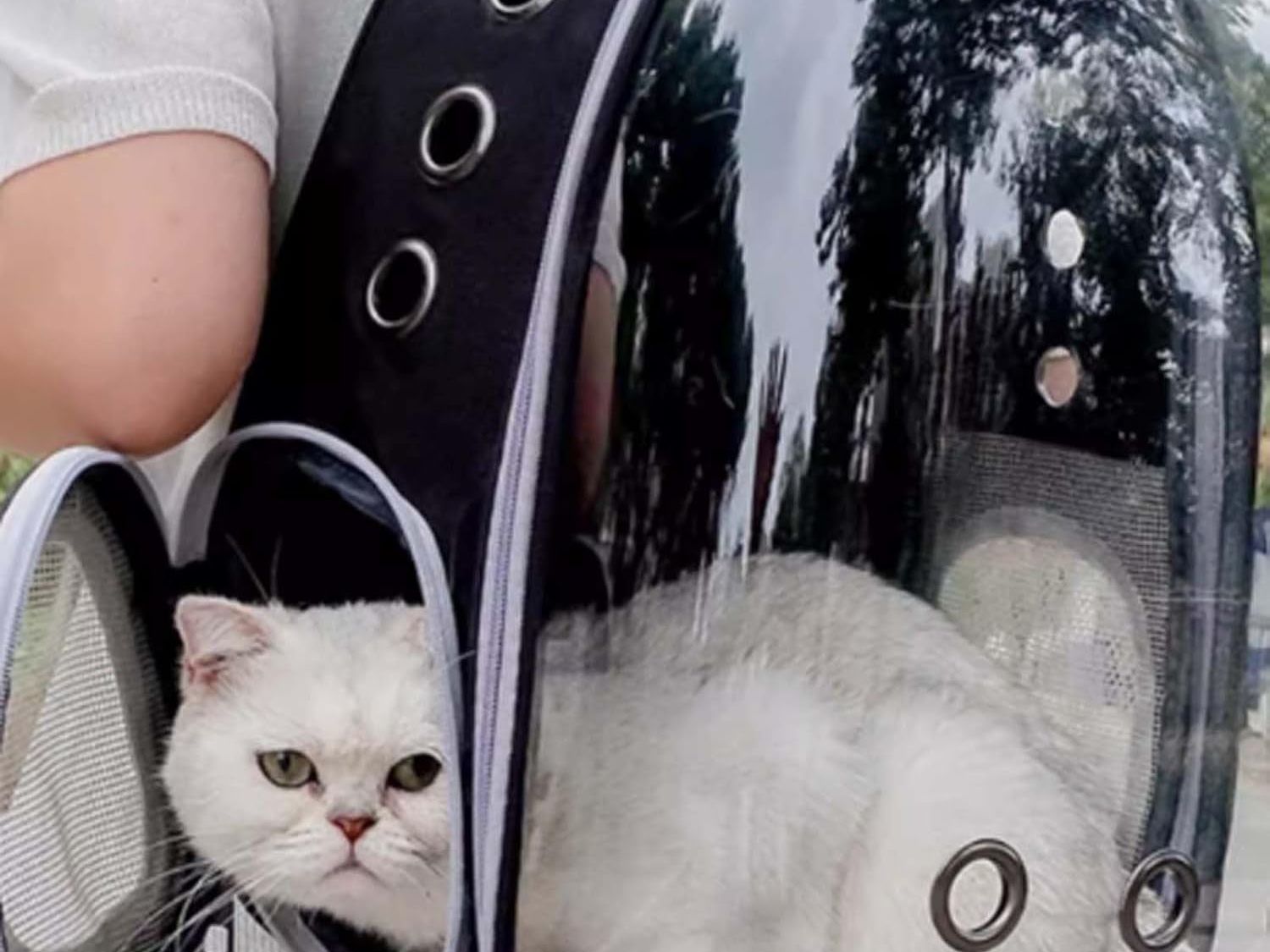 Cat Backpack Carrier Dog Carriers for Small Dogs Carrier Cat Bag Pet Carrier for Cat Carrier Backpack Cat Supplies Cat Travel Carrier Small Pet Carrier Airline Approved Dog Carrier, Black