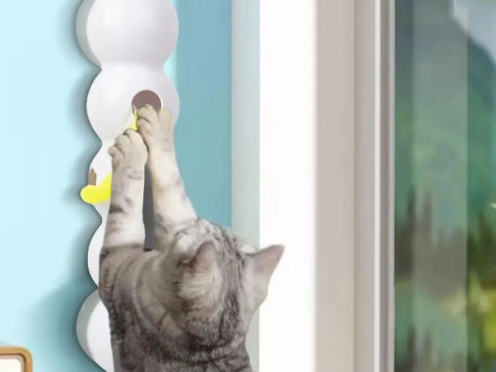 Caterpillar Teasing Cat Toy Motion Activated Kitten Toy Rechargeable Automatic Cat Toy with Tail for Indoor Cats Toy Ball