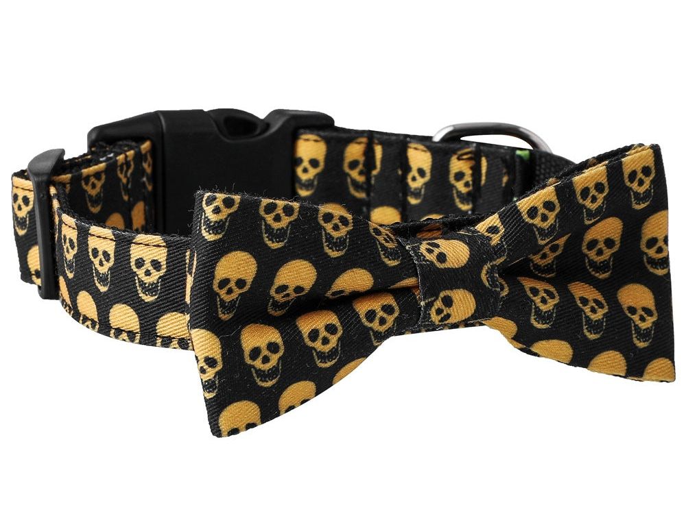Skull Bat Accessories Pet Leash Collar