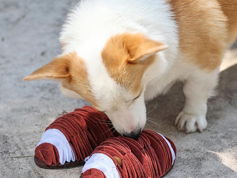 New Pet Football Plush Toy