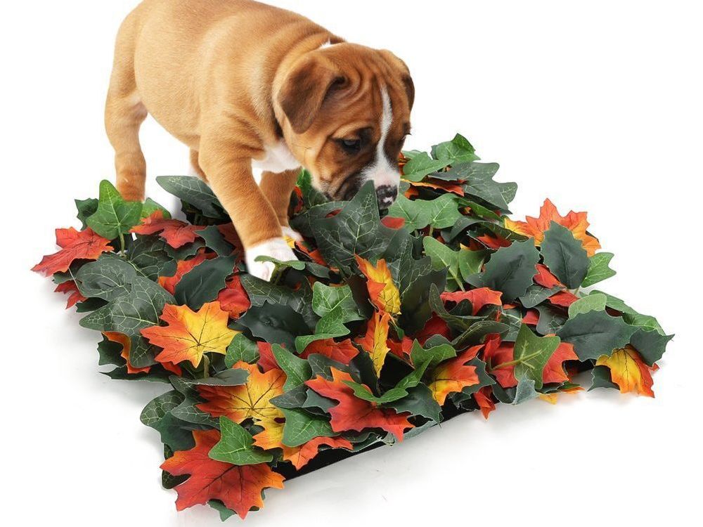 Pet Jungle Feeding Mat Washable Pet Sniffing Blanket