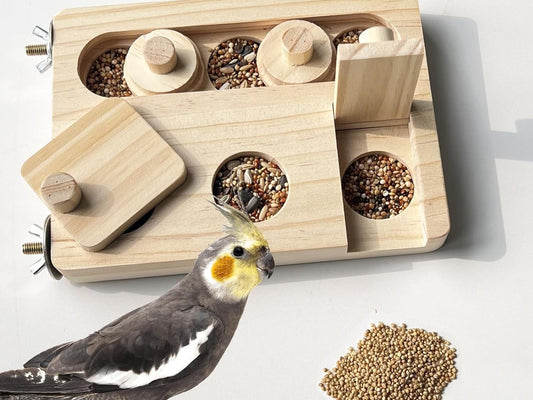 Interactive Wooden Foraging Puzzle Toy for Parrots, Parakeets, Cockatiels, and Sun Conures - Mental Enrichment and Seed Slow Feeder for Bird Cages
