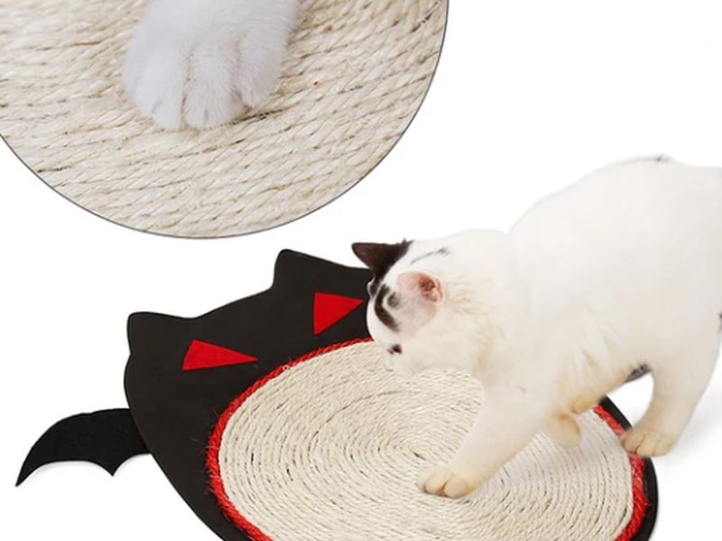 Cat Scratch Plate