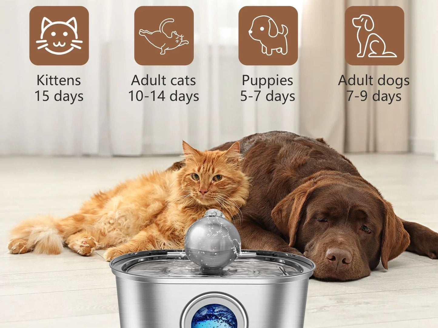 Stainless Steel Cat Water Fountain