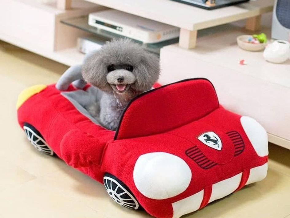 Luxury Car-Shaped Pet Bed - Durable Soft Cushion for Dogs and Cats, Ideal for Teddy, Chihuahua, and Kittens