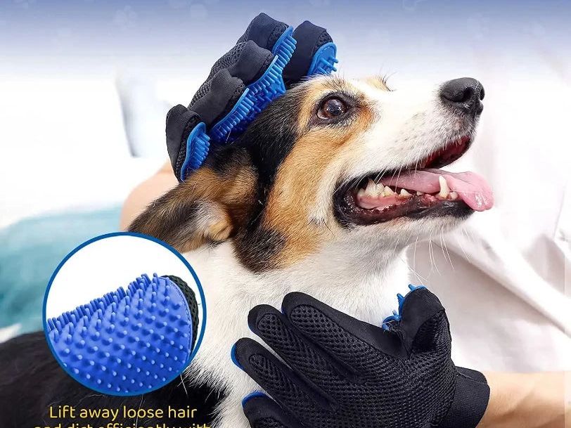 Say Goodbye to Feline Fur: The Purr-fect Pet Grooming Glove for Effortless Cat Hair Removal!