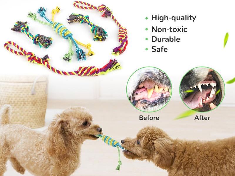 Squeaky Toys Bundle
