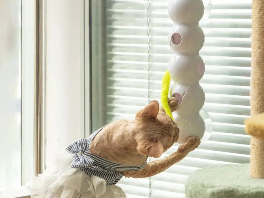Caterpillar Teasing Cat Toy Motion Activated Kitten Toy Rechargeable Automatic Cat Toy with Tail for Indoor Cats Toy Ball
