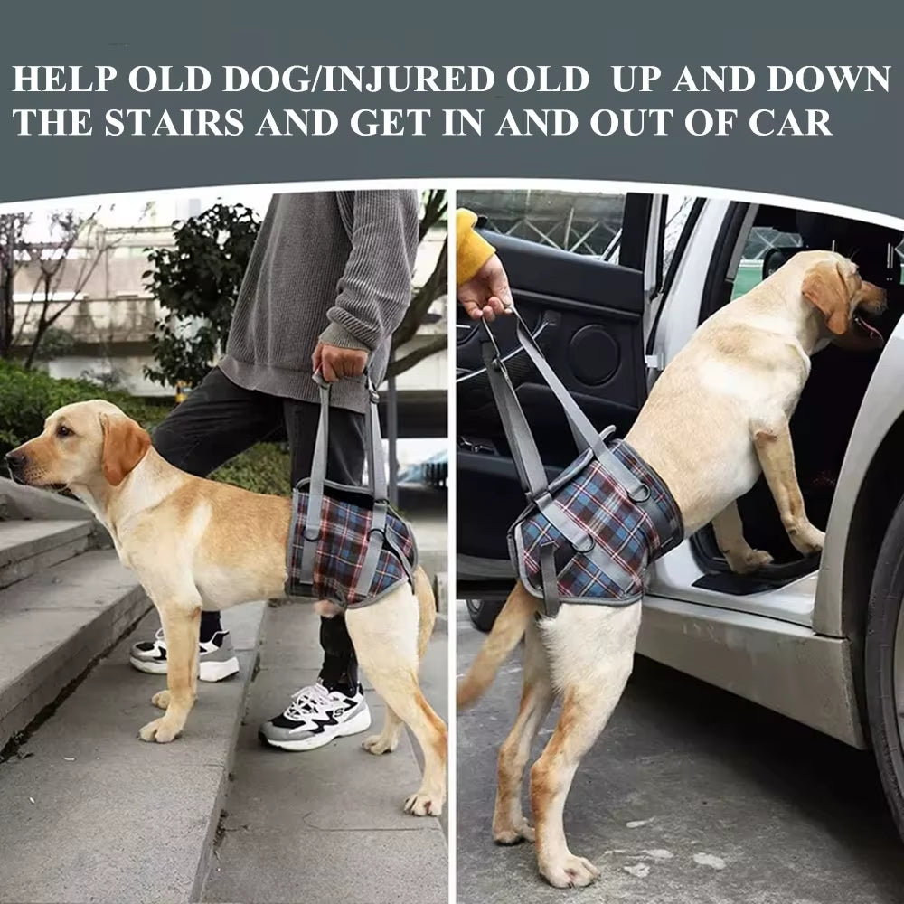 Dog Support Harness for Back & Front Legs Lift Rehabilitation Adjustable Portable for Help Weak Injured Old Disabled Dog Walking