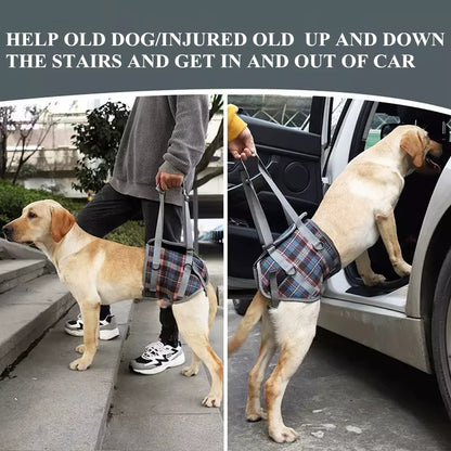 Dog Support Harness for Back & Front Legs Lift Rehabilitation Adjustable Portable for Help Weak Injured Old Disabled Dog Walking