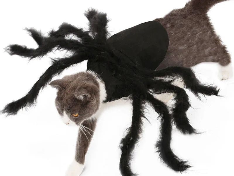 Cat Halloween Costume Cat Bat Wings - Pet Bat Costume Dress Costume Outfit Wing for Small Dogs Cats 2025 Newest Pet Halloween