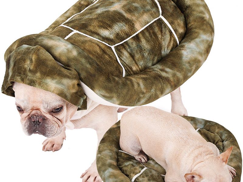 Tortoise Dual Purpose Transfiguration Multifunctional Pet Nest Winter Warm Clothing