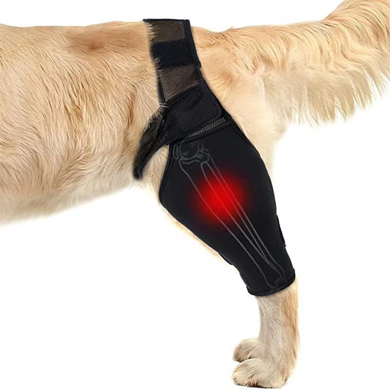 Dog Leg Support Protector, Front and Rear Leg Adjustment, Fixed Strap, Knee Brace for Injuries, Leg Protector for Dogs
