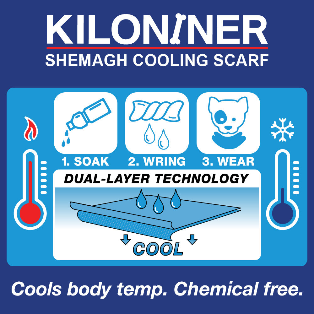 Blue and white infographic for a cooling scarf with soak, wring, wear steps and dual-layer tech.
