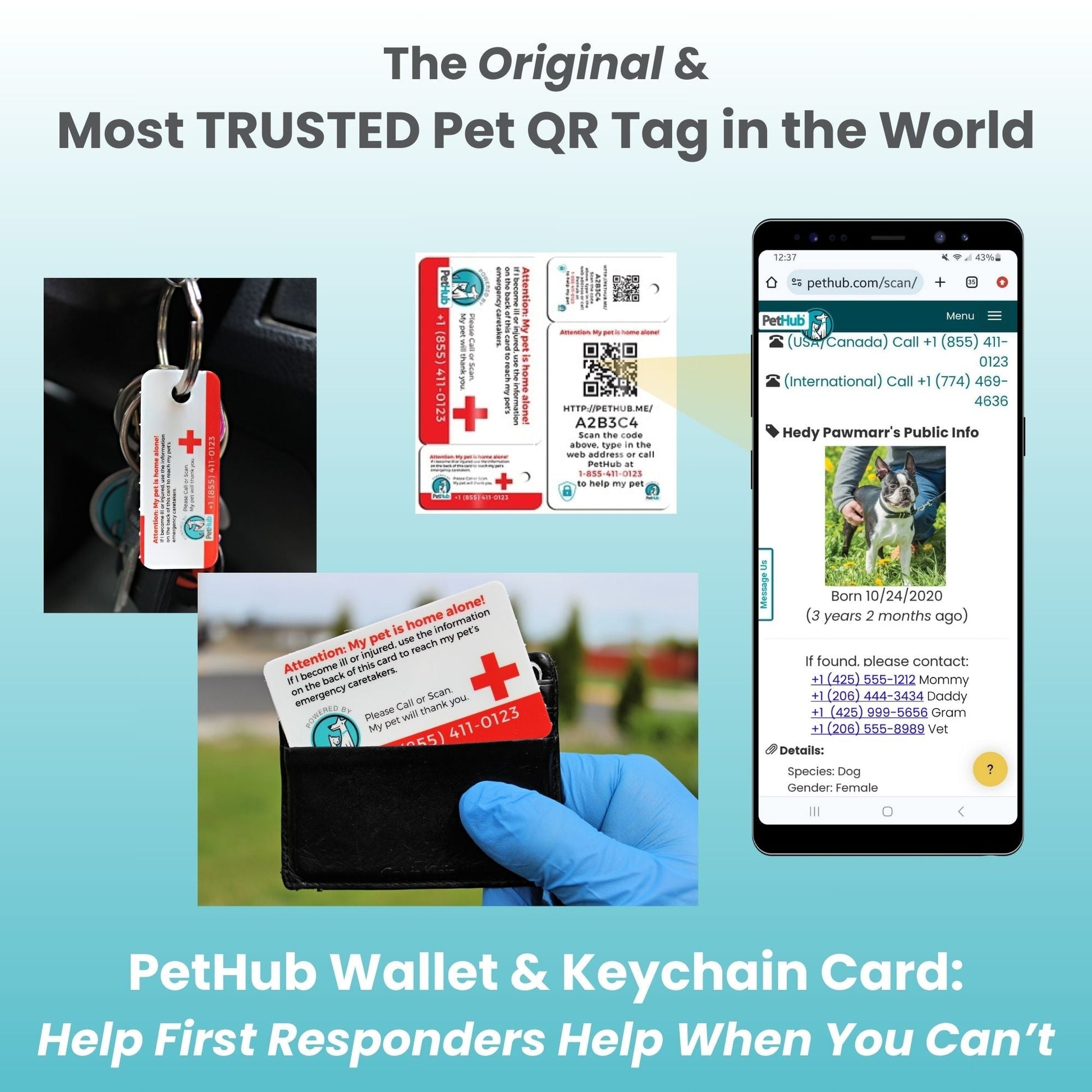 Pet QR tag on keychain and card in wallet; smartphone displays pet info. Blue gradient background.