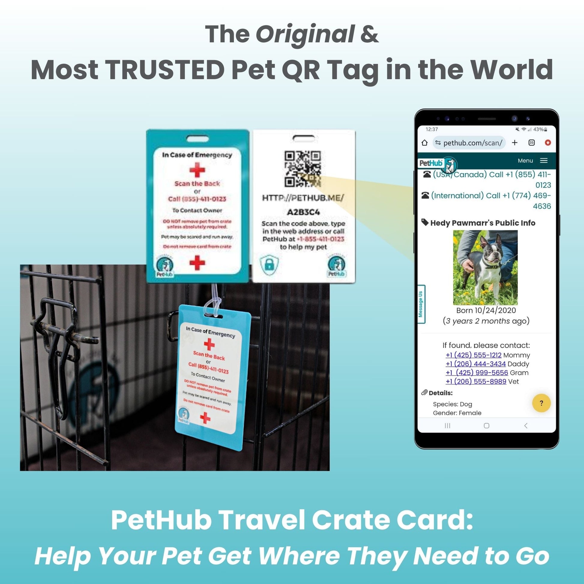 Pet QR tags and phone screen displaying pet info; blue background with emergency contact details.