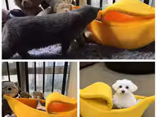 Cozy Banana Cat Bed – Winter Comfort Nest for Cats & Small Dogs