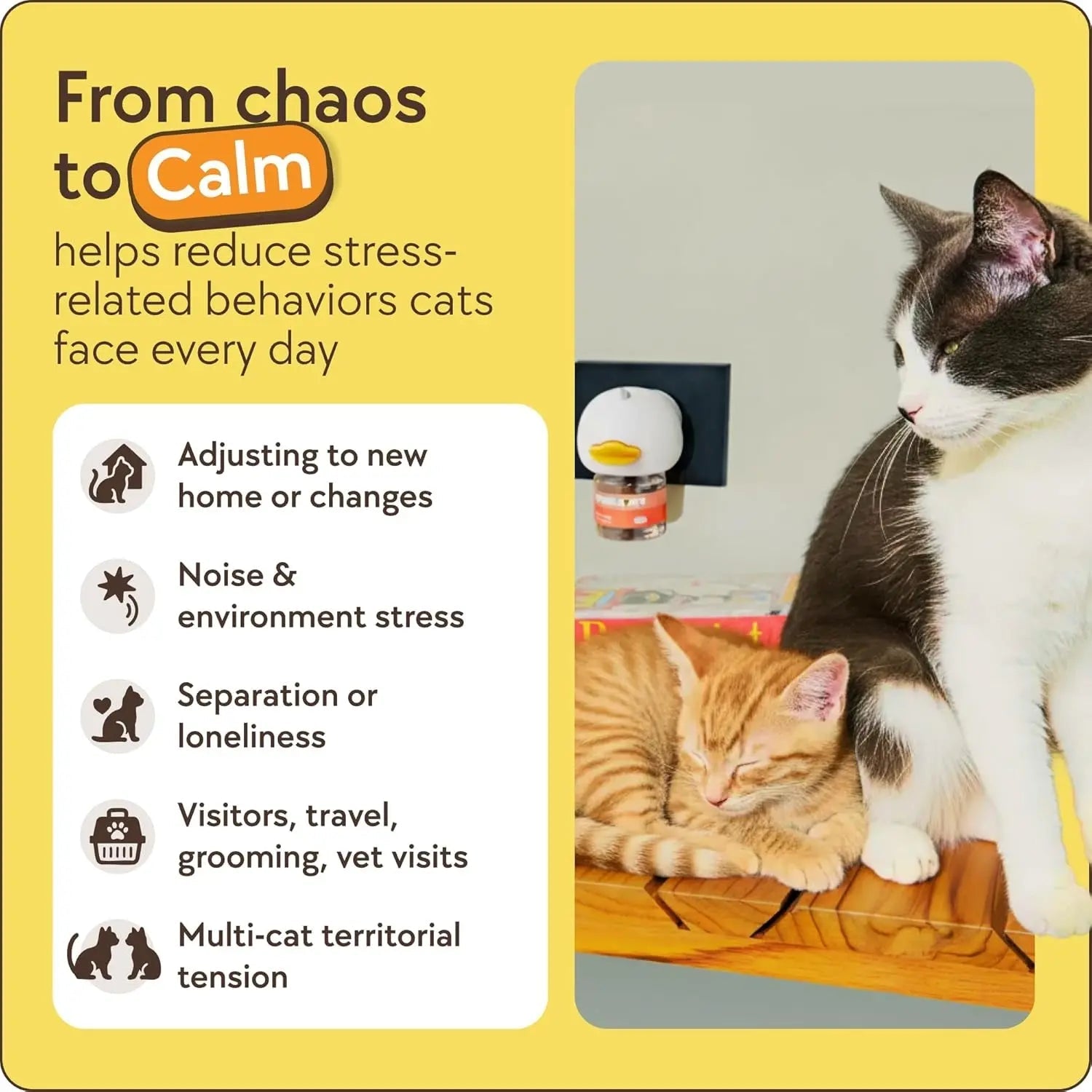 Two cats resting on a wooden surface; text on yellow background about reducing cat stress.