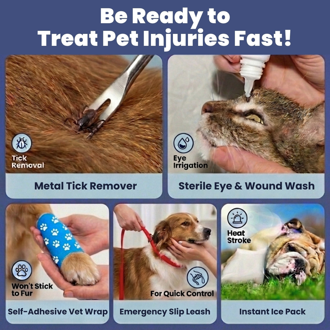 Pet first aid kit with tick remover, eye wash, vet wrap, slip leash, and ice pack.