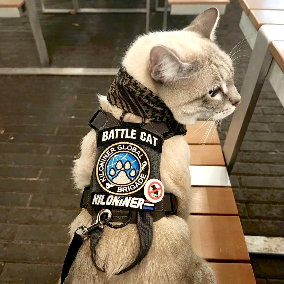 Cat wearing a tactical vest labeled "Battle Cat," sitting on a bench, looking to the side.