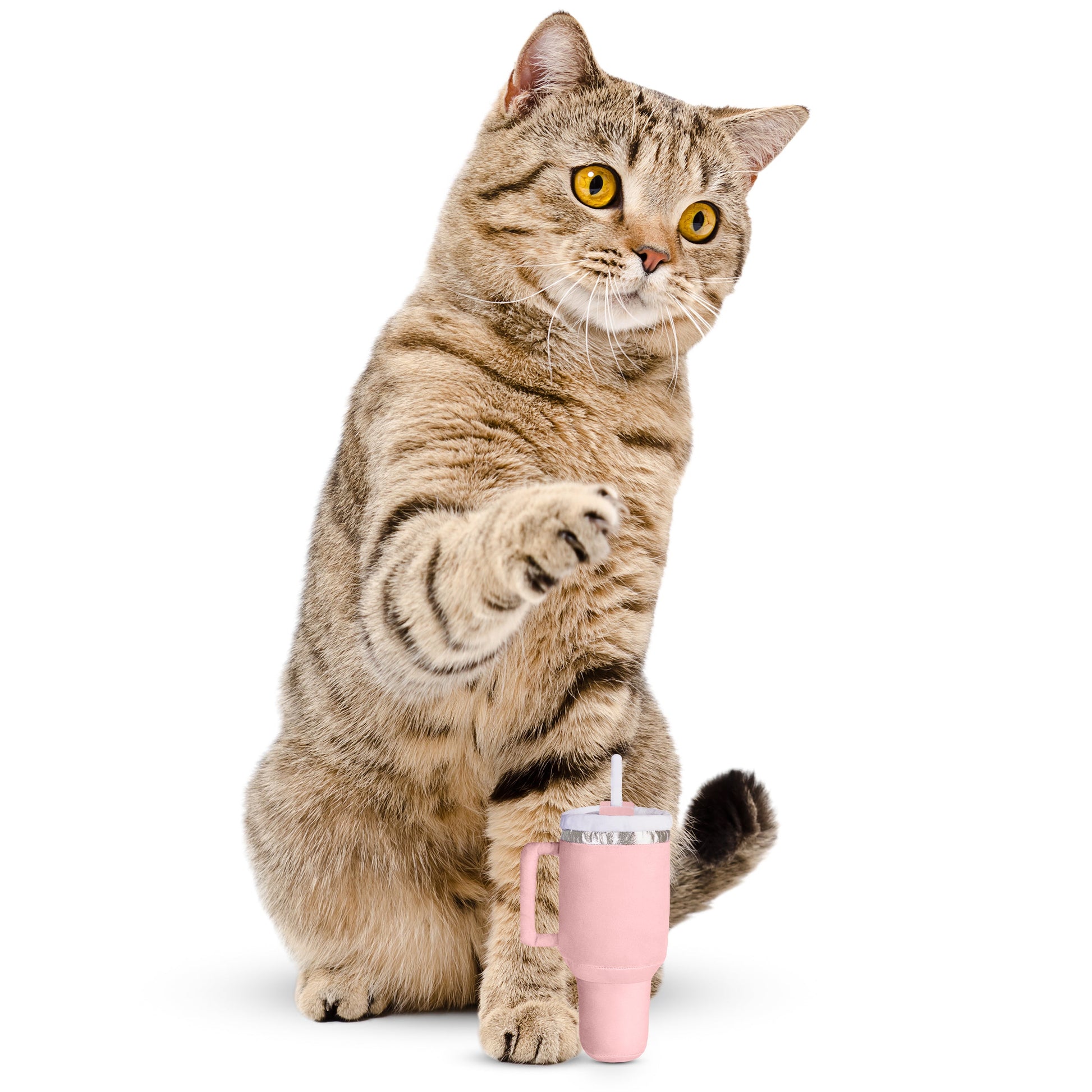 Striped cat with raised paw beside a large pink cup with a straw on a white background.