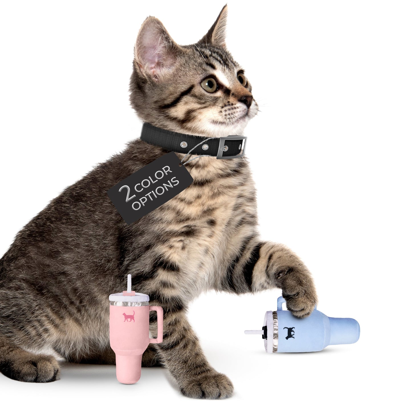 Tabby cat with a black collar, holding a blue toy cup, pink cup nearby, tag reads "2 color options".