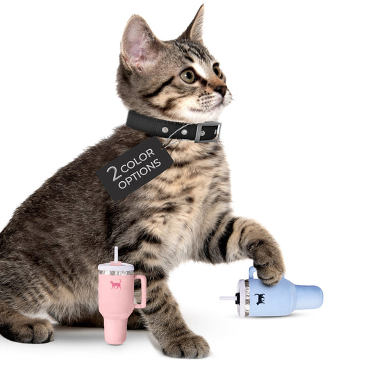 Tabby cat with a black collar, holding a blue toy cup, pink cup nearby, tag reads "2 color options".