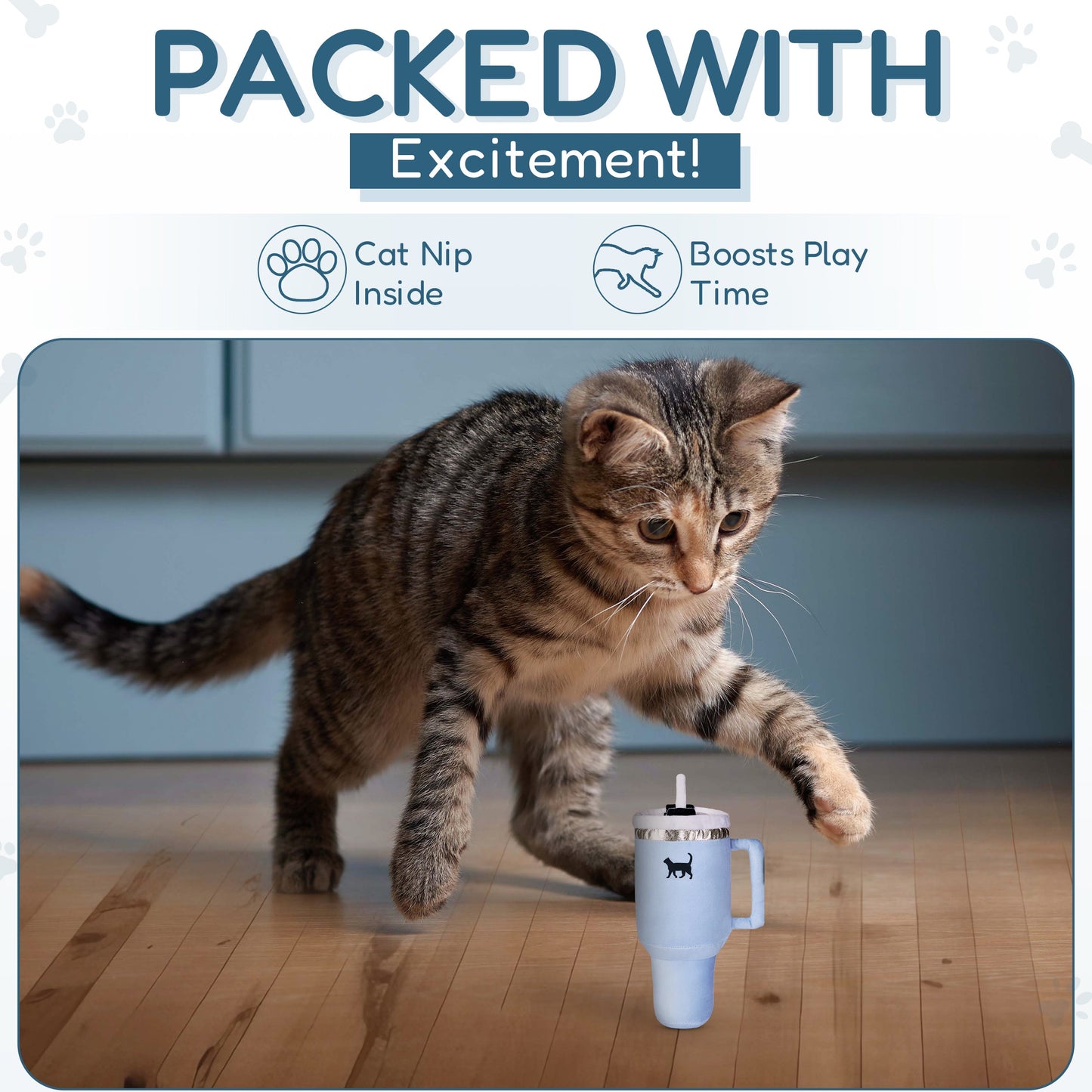 Tabby cat playing with a blue toy on a wooden floor, text reads "Packed with Excitement!"