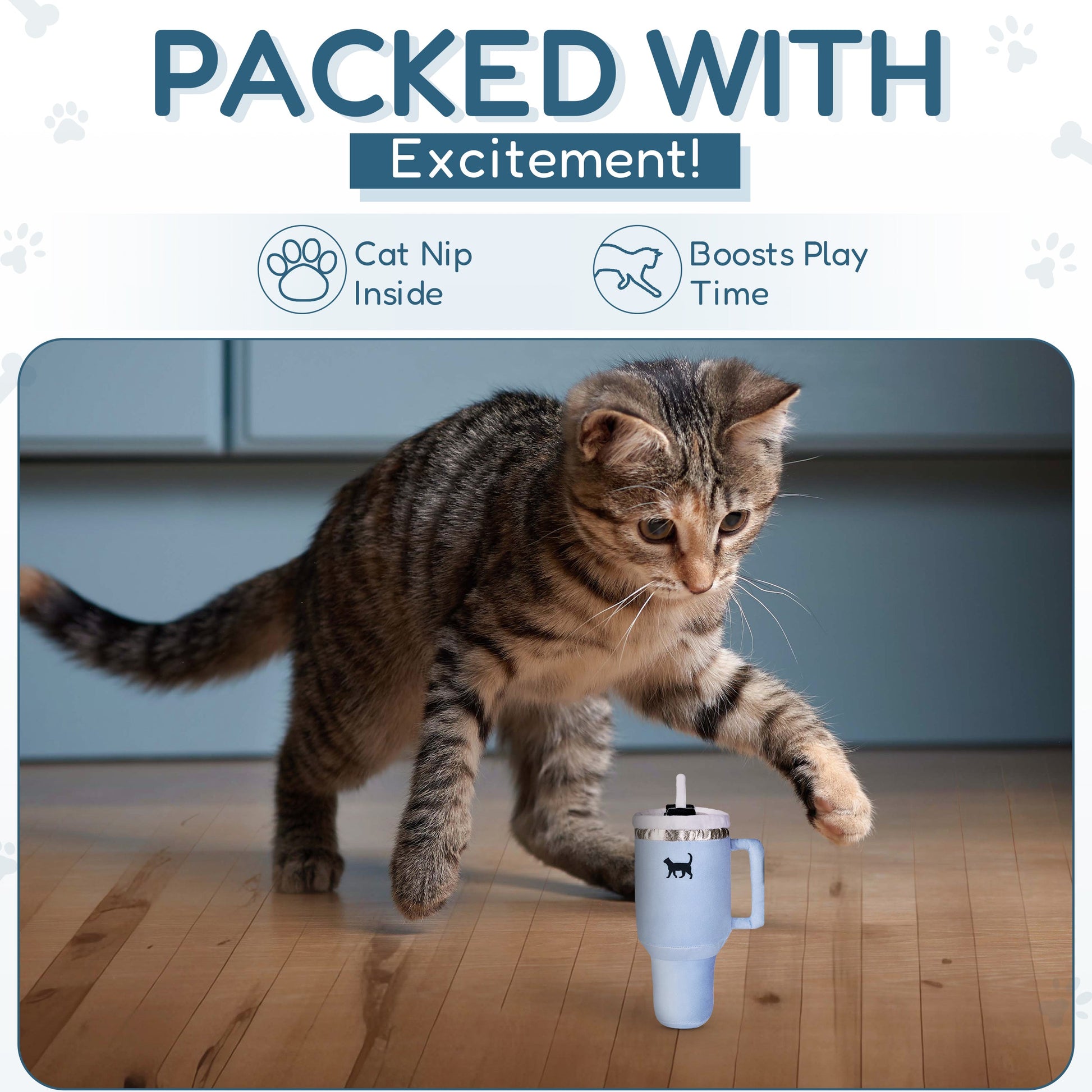 Tabby cat playing with a blue toy on a wooden floor, text reads "Packed with Excitement!"