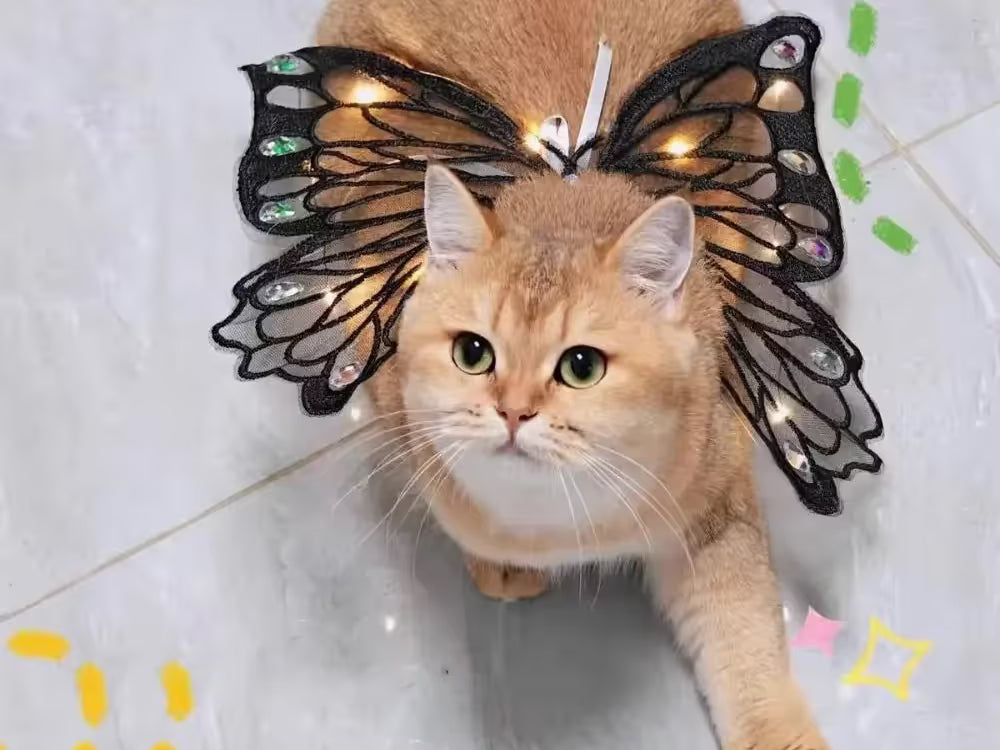 Glowing Butterfly Wings – Pet Costume for Small Dogs & Cats