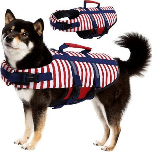 Dog in red and white striped life jacket with blue straps; matching jacket shown above.