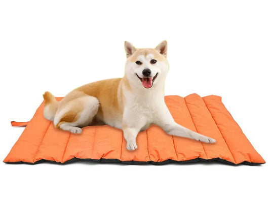 Portable & Reversible Pet Mat - The Perfect Outdoor Companion