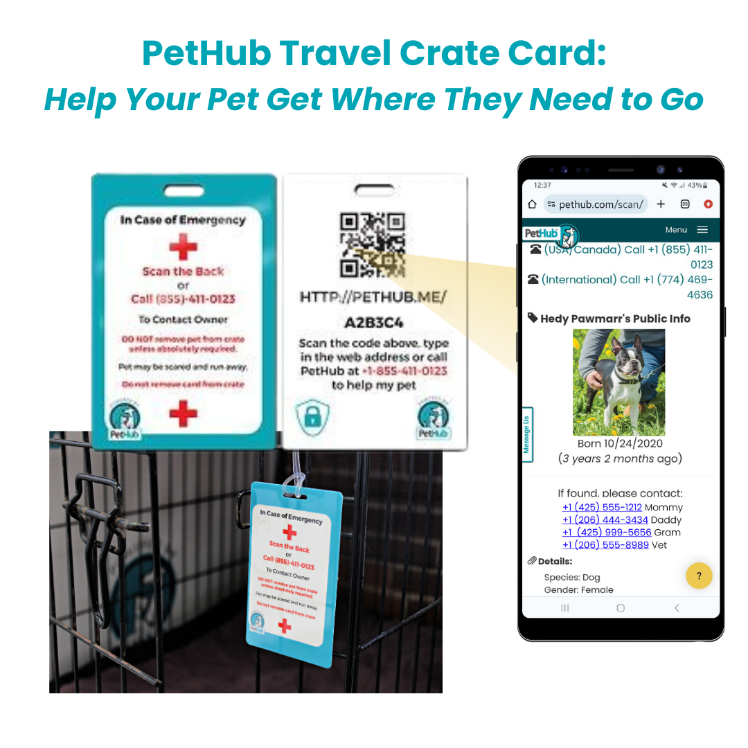 PetHub travel crate card with QR code and emergency info, shown with a smartphone screen.