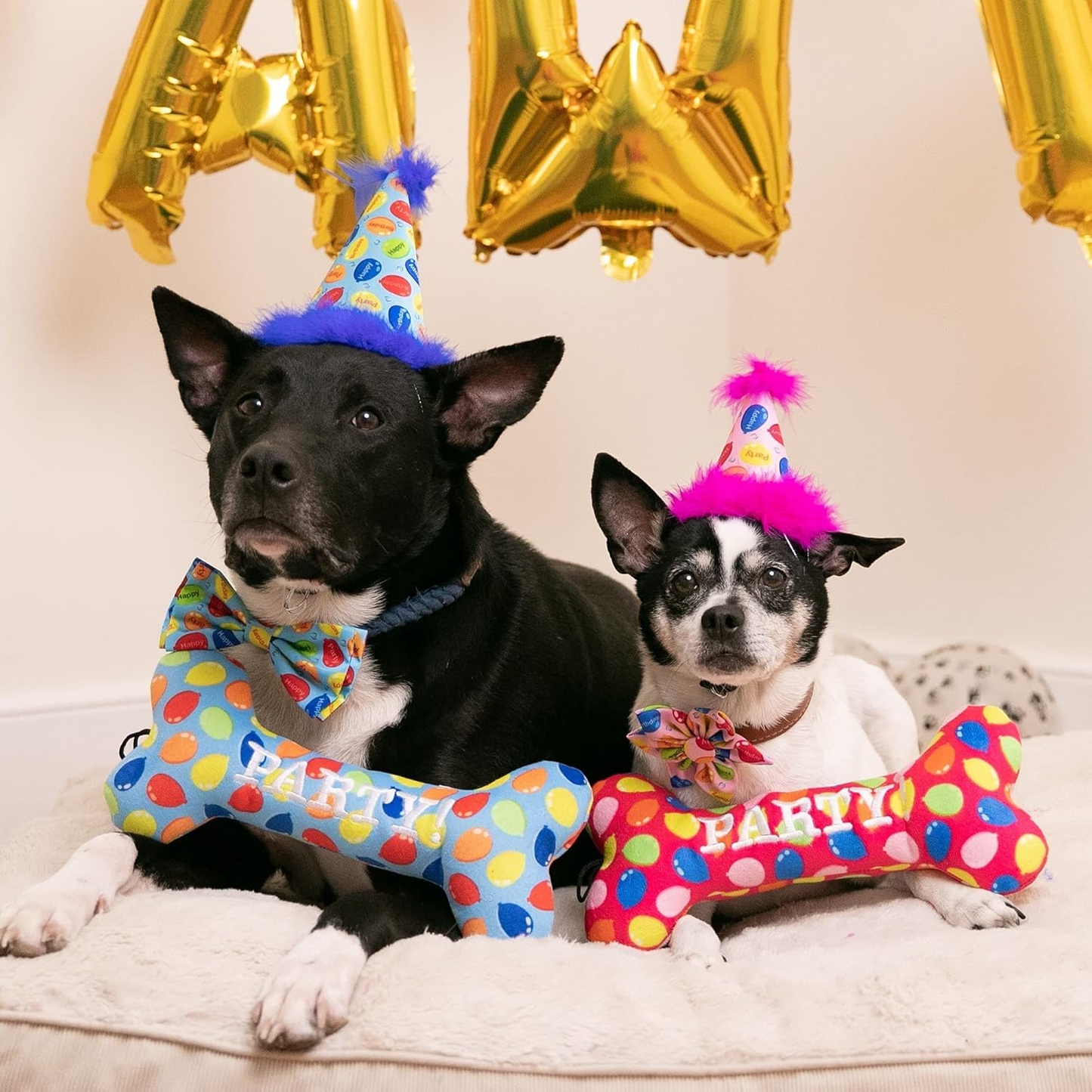 Two dogs in colorful party hats and bow ties, holding polka-dot "Party" toys, with gold balloons.