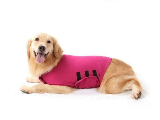 Canine Anxiety Comfort Clothing – Calming Wear for Dogs